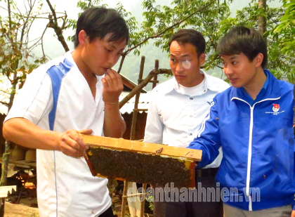 Giàng A Vàng giới thiệu về mô hình nuôi ong của mình với các bạn ĐVTN đến thăm quan học tập